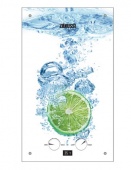 Газовый проточный водонагреватель Zanussi GWH 10 Fonte Glass Lime — фото, характеристики, купить в PUSHKIN-CLIMBO