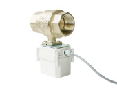 Кран с электроприводом PROFESSIONAL 220V ENOLGAS 2” — фото, характеристики, купить в PUSHKIN-CLIMBO