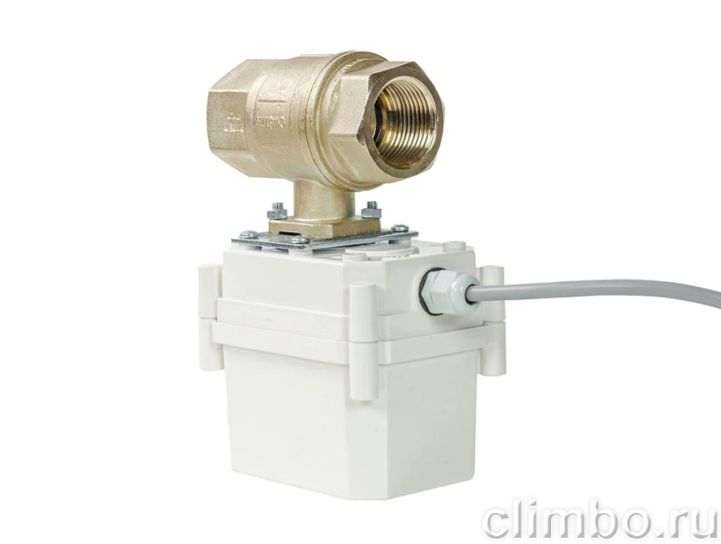 Кран с электроприводом PROFESSIONAL 220V BONOMI 1” — фото товара