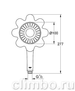 Ручной душ GROHE Rainshower Icon 100 (1 режим), 26115TY0 — фото товара
